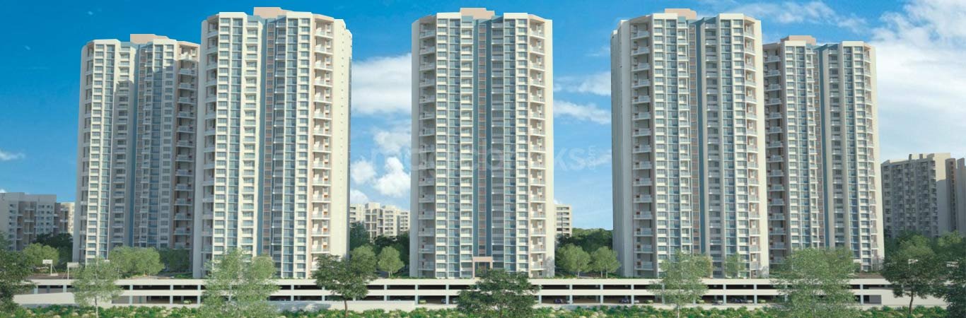 Website designer in nanded city