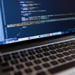 dedicated wordpress expert importance